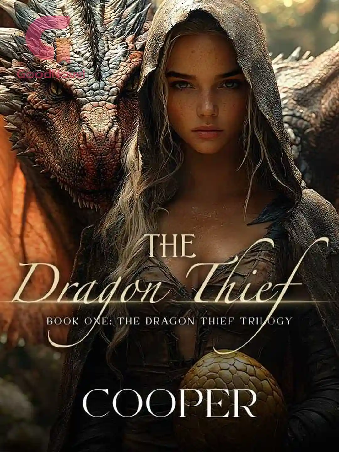 Cover of The Dragon Thief
